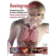 Anatographica - 28023a01622ks[10].jpg